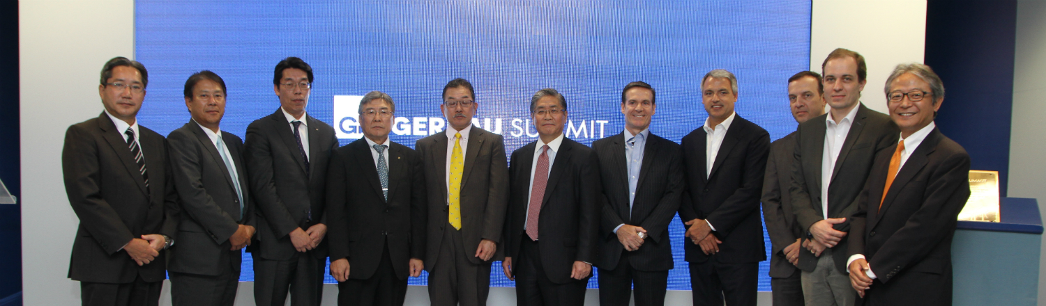 Gerdau Summit prevê construir 330 parques eólicos até 2020