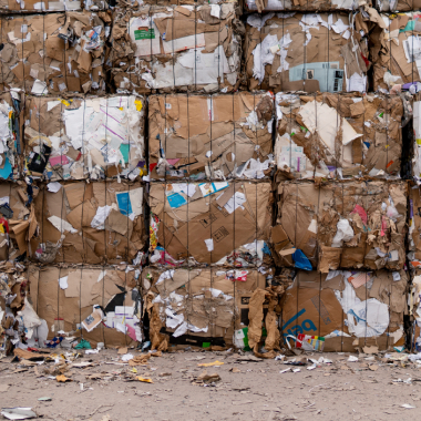 Reciclagem transforma despesa em receita