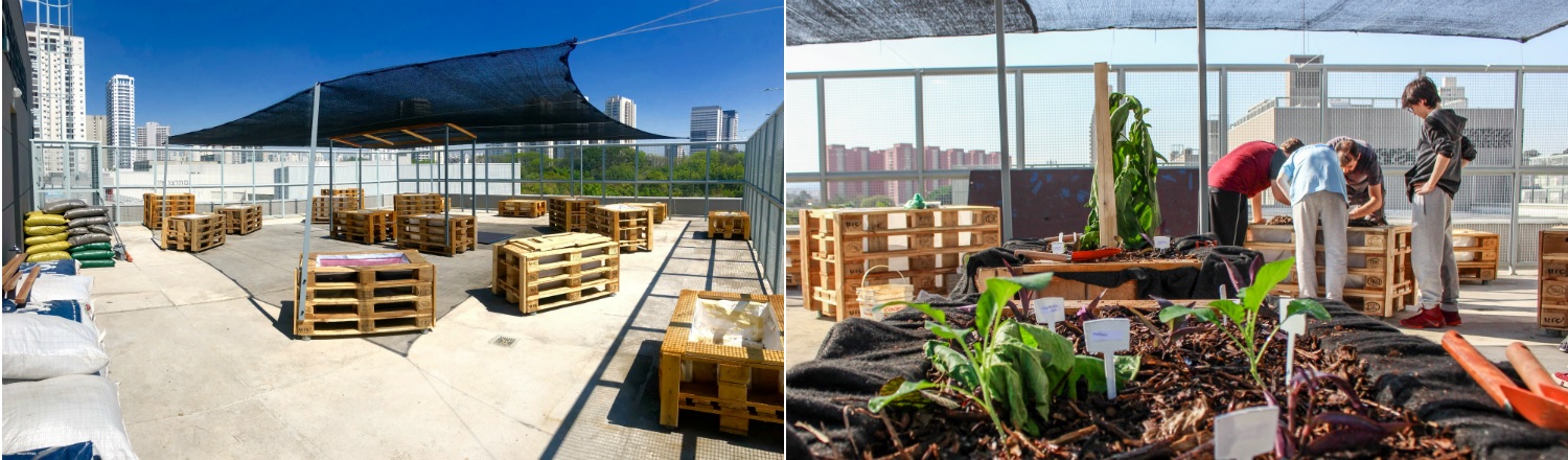 A lição do Colégio Renascença