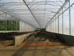 Duratex reduz descarte de resíduos por meio de compostagem em suas fábricas