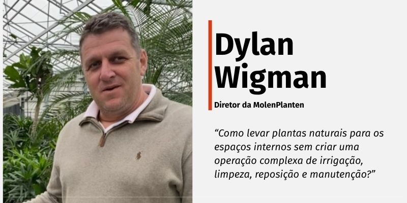 Da biofilia artificial à natureza real através da hidrocultura que leva vida aos espaços de trabalho