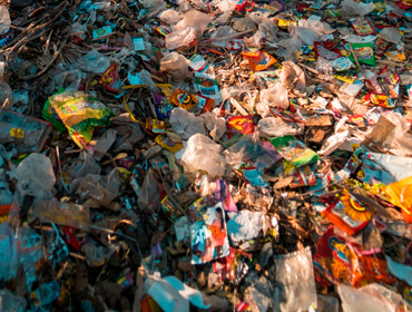 Da cultura do descarte à lógica da regeneração