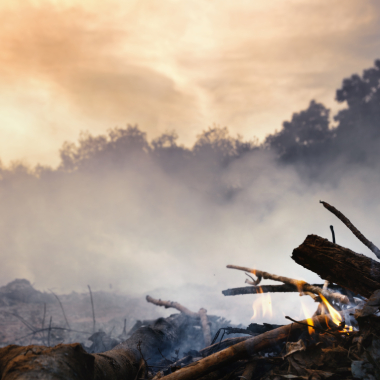 Segurança Eletrônica no enfrentamento de tragédias ambientais