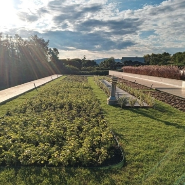 05 tipos de telhados verdes