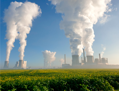 ESG: rede de medicina faz avanços na compensação de CO2 