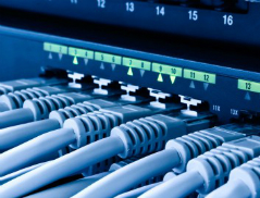 Gestão inteligente de dados: missão crítica na continuidade dos negócios