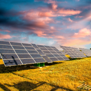Energia solar: aliada da retomada dos negócios e da sustentabilidade 