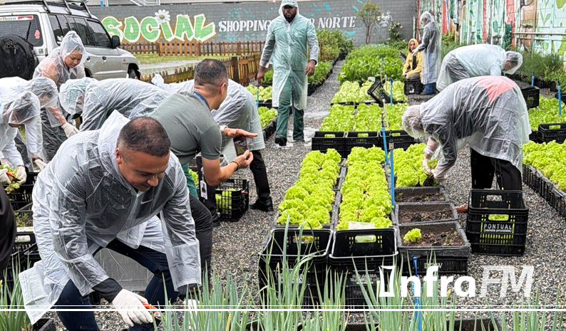 Horta Social do Instituto Center Norte transforma cultivo em solidariedade