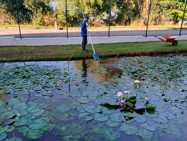 Jardim filtrante da L’Oréal une natureza e gestão técnica para reaproveitar água