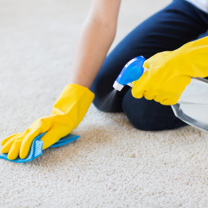 Câmara reúne empresas de peso para normatização do setor de tapetes, carpetes e capachos