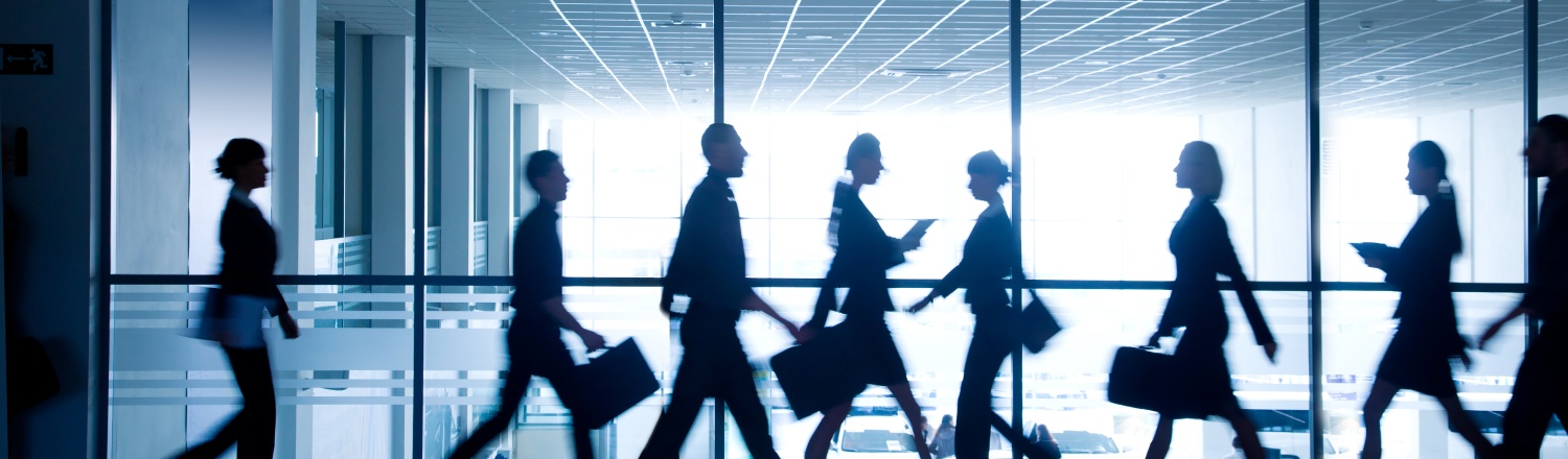 Movimento executivo no Grupo SegurPro, ArcelorMittal, Johnson Controls e outras