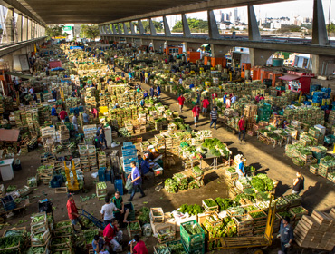 O que o investimento da Enel na Ceagesp antecipa para gestão de ativos