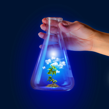 Solução biotecnológica para descontaminação de terreno fabril