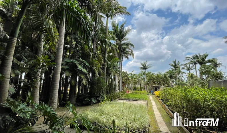 Verde nos espaços de trabalho ganha força como estratégia de bem-estar e sustentabilidade