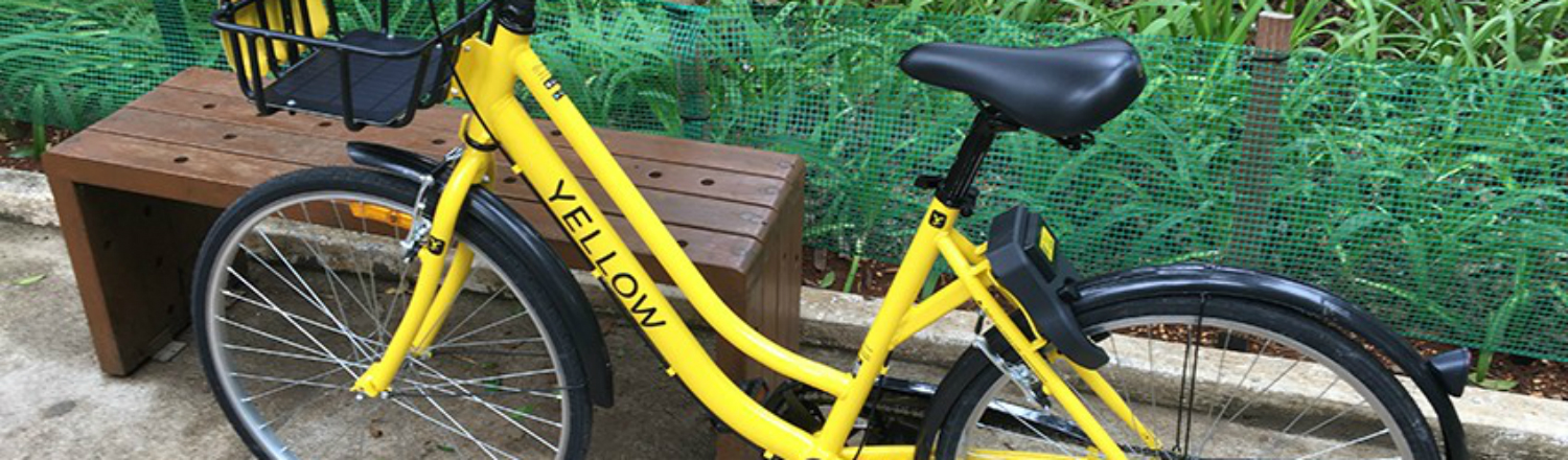 Grin e Yellow anunciam fusão e a criação da Grow